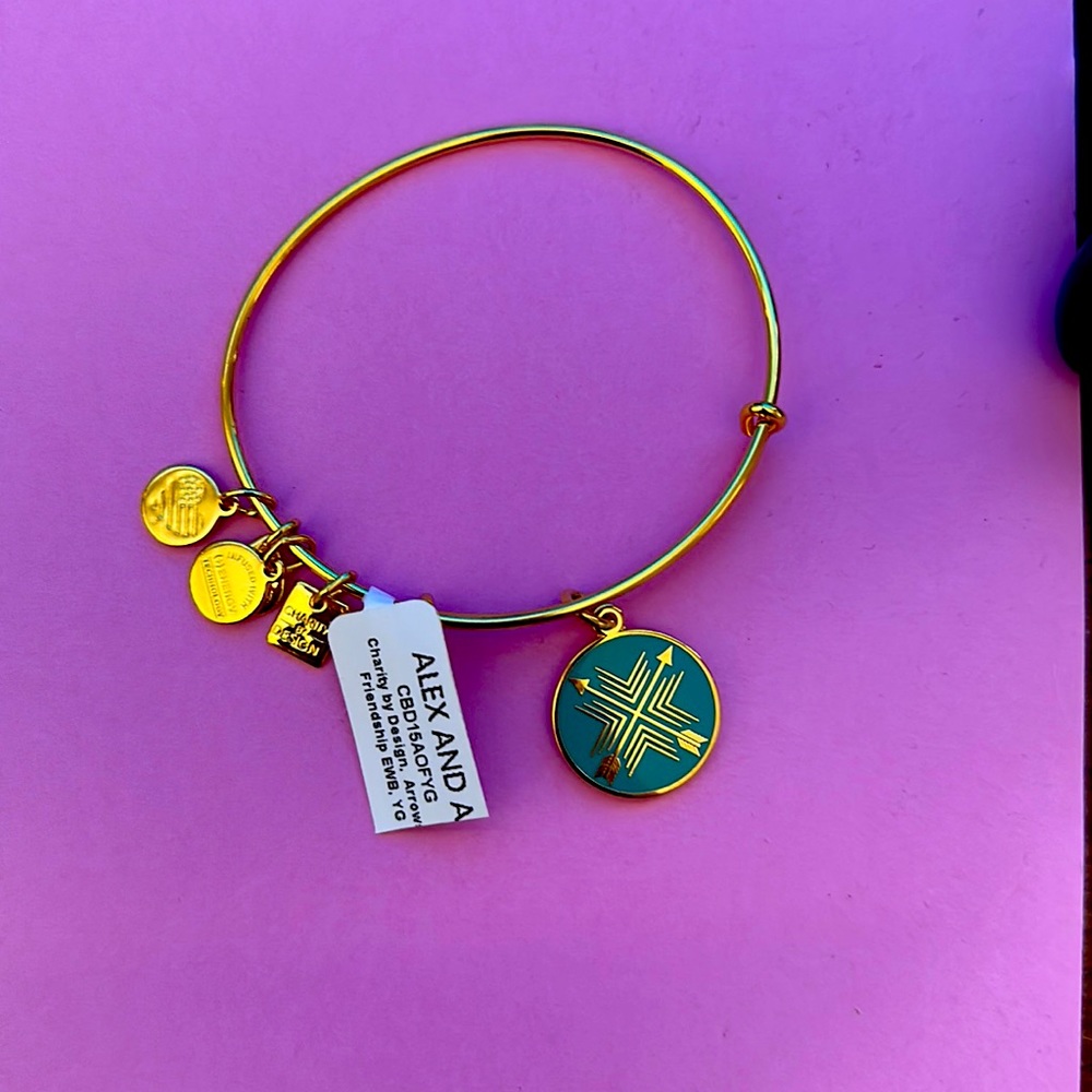 Alex and Ani Friendship charm bracelet! Brand new! Never been worn!